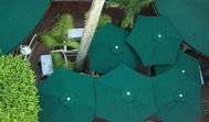 Picture of Paraflex Wall Umbrellas