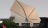 Picture of Rimbou Icarus Shade Leaf