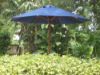 Picture of Green Corner 9' Octagon Market Umbrella