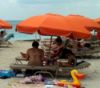 Picture of Fiberglass Beach Umbrellas By Fiberlite